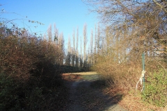 35_K1024_IMG_5649.1