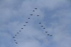 K1024_IMG_9248.1