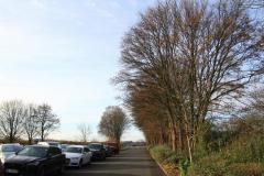 K1024_IMG_9284.1