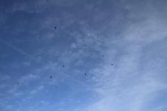 K1024_IMG_9285.1