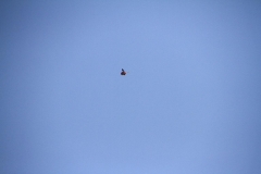 13_K1024_IMG_2110.1