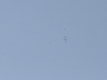 IMG_6178.1.jpg
