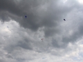 2014_08_05_49.jpg