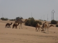 2012_01_19_07.JPG