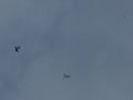 2010_02_27_12.jpg