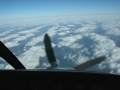 2012_02_04_11.jpg