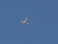 2012_02_20_02.jpg