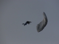 2012_02_20_08.jpg
