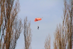 K1024_IMG_8437.1