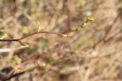 K1024_IMG_8555.1