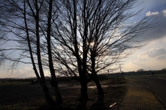 K1024_IMG_8779.1