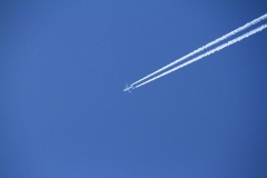 K1024_IMG_7194.1