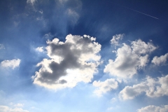 K1024_IMG_7215.1