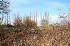 01_K1024_IMG_6476.1