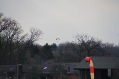16_K1024_IMG_6674.1