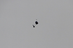 22_K1024_IMG_6451.1.1