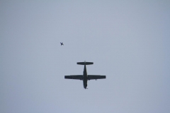 17_K1024_IMG_3455.1