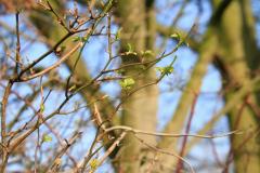 K1024_IMG_0143.1