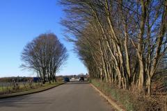 K1024_IMG_8856.1