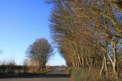 K1024_IMG_4920.1