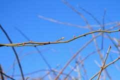 K1024_IMG_4935.1
