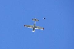 K1024_IMG_4979.1