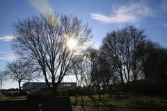 K1024_IMG_5043.1