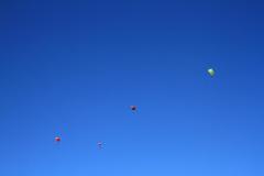 K1024_IMG_9510.1