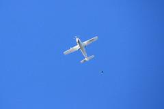 K1024_IMG_9571.1