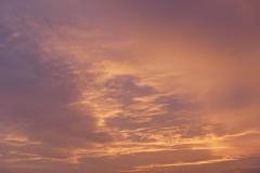 K1024_P1070794.1