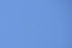 K1024_IMG_7232.1.1