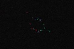 K1024_IMG_7280.1