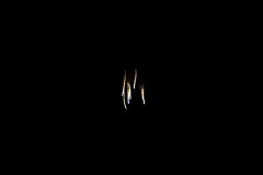 K1024_IMG_7301.1