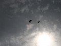 2009_07_26_009.jpg