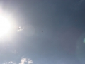2009_07_27_007.jpg
