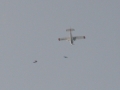 2010_01_02_02.JPG
