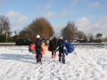 2011_01_02_47.jpg