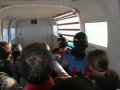 2011_01_02_52.jpg
