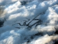 2011_01_02_61.jpg