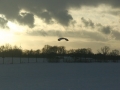 2011_01_02_63.jpg