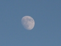 2011_01_16_21.jpg