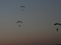 2011_01_29_35.jpg