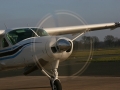 2011_01_30_16.jpg