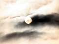 2011_01_30_17.jpg
