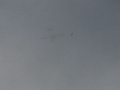 2012_01_08_03.jpg