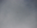 2012_01_08_04.jpg