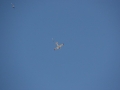 2012_01_15_04.jpg