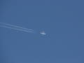 2012_01_28_05.jpg