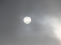 2012_01_28_26.jpg