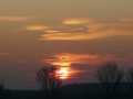 2012_01_31_5.jpg